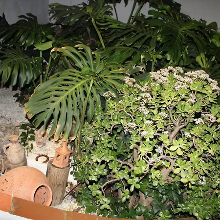 El Jardin Secreto De Elviria * Marbella