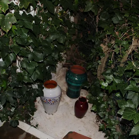 Apartment El Jardin Secreto De Elviria