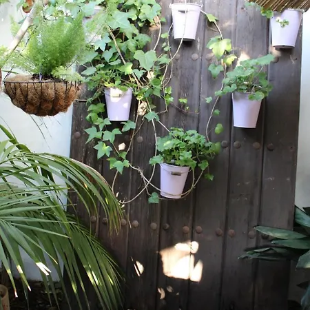 El Jardin Secreto De Elviria *