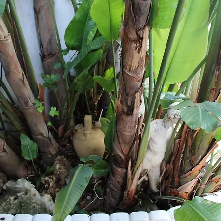 El Jardin Secreto De Elviria Apartment Marbella
