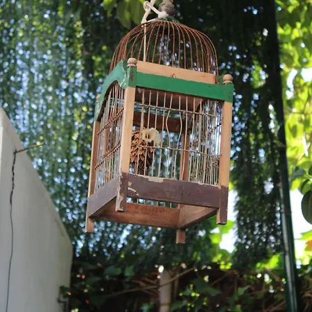 El Jardin Secreto De Elviria Apartment